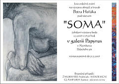 Výstava Petr Hořák - SOMA